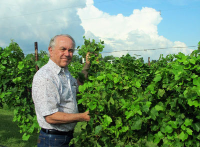 Raymond-Haak-Vineyard