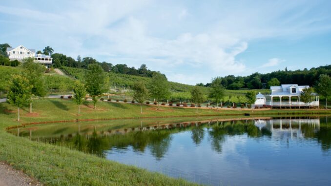 Frogtown Cellars